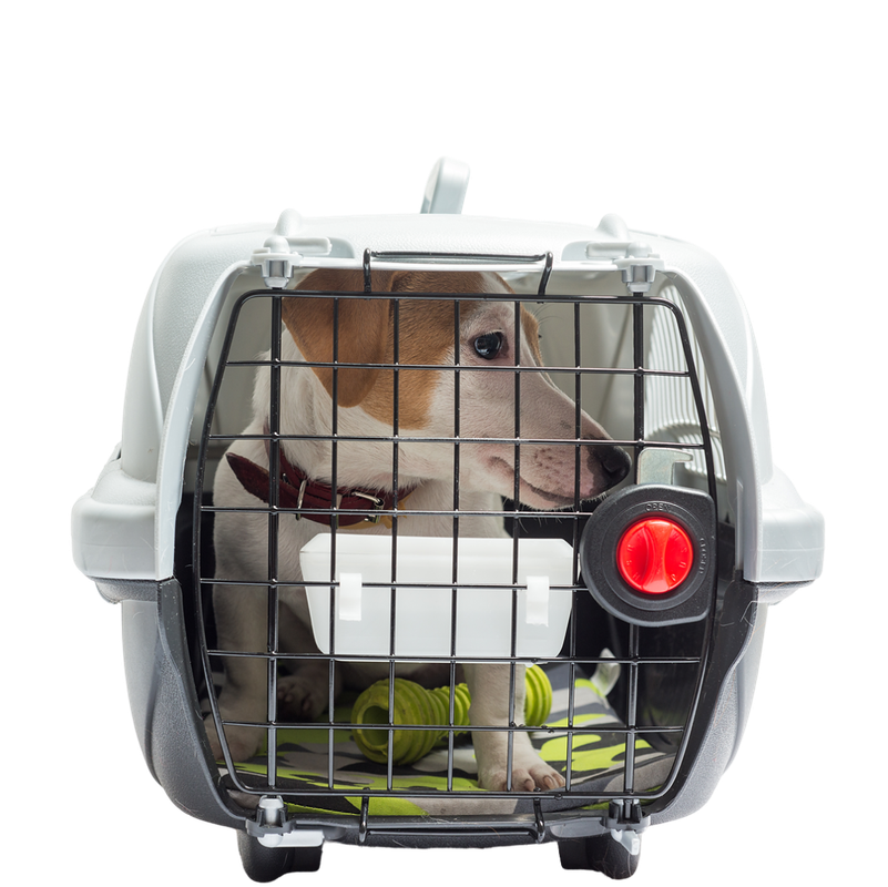 ГрузоДрайв перевозка грузов по России №13